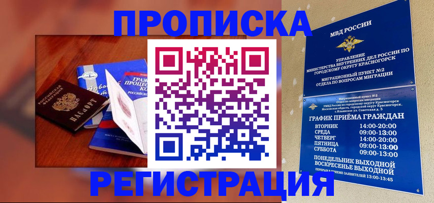 временная регистрация для школы в Ковылкино